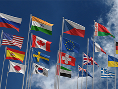 country flag quiz​